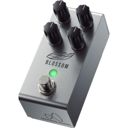 JACKSON AUDIO BLOSSOM