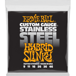 Ernie Ball Slinky stainless...