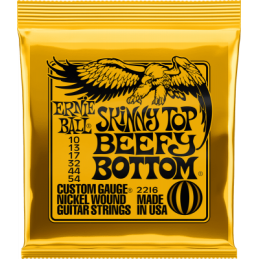 Ernie Ball Skinny top beefy...