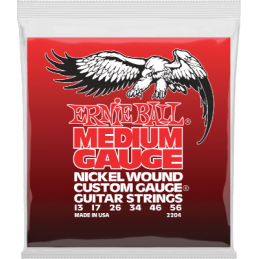 Ernie Ball Nickel wound...