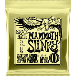 Ernie Ball Mammoth slinky...