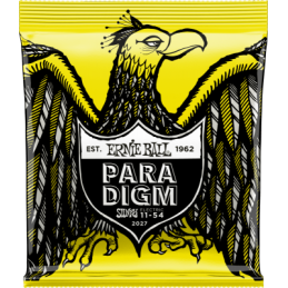 Ernie Ball Paradigm beefy...