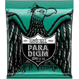 Ernie Ball Paradigm not...