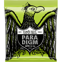 Ernie Ball Paradigm regular...