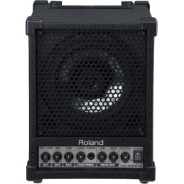 ROLAND CM30