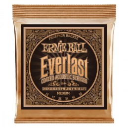 ERNIE BALL ACOUSTIC 2544...