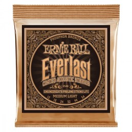 ERNIE BALL ACOUSTIC 2546...