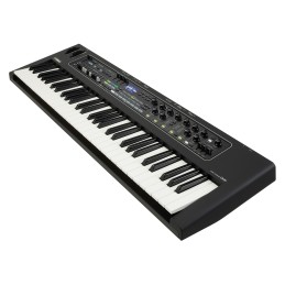 Acheter YAMAHA SCDE61 HOUSSE SOFTCASE POUR CLAVIER DE SCENE CK 61