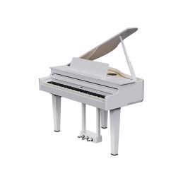 ROLAND GP-6 BLANC