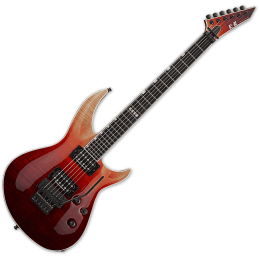 ESP E-II Horizon III FR...