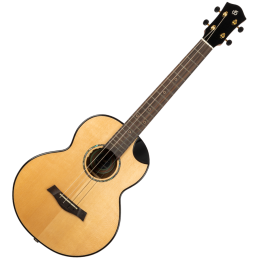 Image d'un ukulélé Baryton Aurora EQ-A