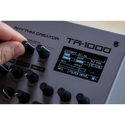 Image d'une Boîte à Rythmes TR-1000, de  la marque Roland