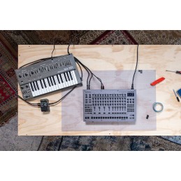 Image d'une Boîte à Rythmes TR-1000, de  la marque Roland