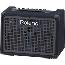 ROLAND KC220