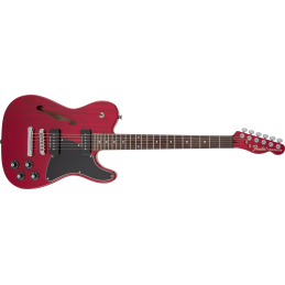 FENDER JIM ADKINS JA90...