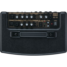 ROLAND AC33