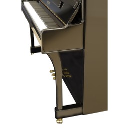 Image Piano Pleyel Droit TRibute Noir Brillant