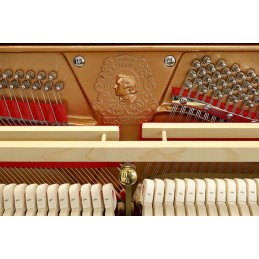 Image Piano Pleyel Droit TRibute Noir Brillant