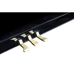 Image Piano Pleyel Droit TRibute Noir Brillant