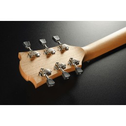 Image d'une guitare Lâg T70A-Nat Tramontane Auditorium Natural