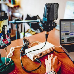 Image d'une interface audio USB compacte MiniFuse 2 OTG de la marque Arturia