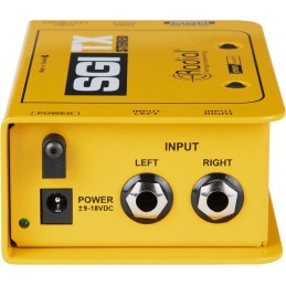 Image d'une paire d'extendeurs RJ45 longue portée, SGI Stéréo de la marque Radial