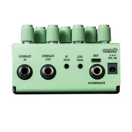 Image d'une pédale a multi-effets, modèle Parting, de couleur verte, de la marque Old Blood Noise Endeavors