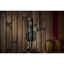 Image d'un microphone à condensateur a directivités multiples à large diaphragme KSM44MP de la marque Shure