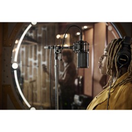 Image d'un microphone à condensateur a directivités multiples à large diaphragme KSM44MP de la marque Shure