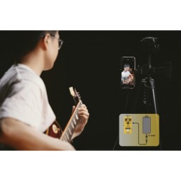 Image d'une pédale A/B Roll Looper Octave, de la marque Nux