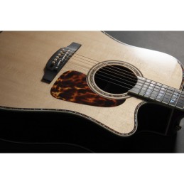 Image d'une guitare électro-acoustique Dreadnought Cutaway P10DC, de la marque Takamine