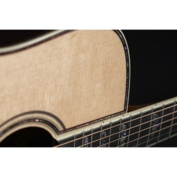 Image d'une guitare électro-acoustique Dreadnought Cutaway P10DC, de la marque Takamine