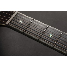 Image d'une guitare électro-acoustique Nex Cutaway Electro P10NC, de la marque Takamine