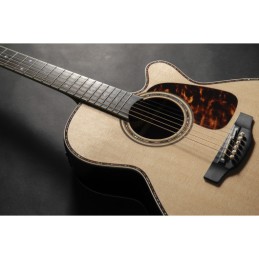 Image d'une guitare électro-acoustique Nex Cutaway Electro P10NC, de la marque Takamine