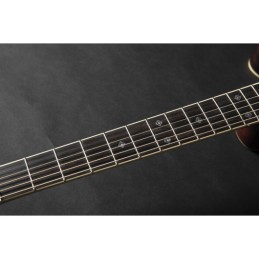 Image d'une guitare électro acoustique Nex Cutaway Electro RNV460C, de la marque Takamine