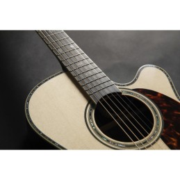 Image d'une guitare électro acoustique Nex Cutaway Electro RNV460C, de la marque Takamine