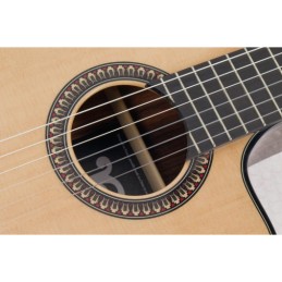 Image d'une guitare électro-acoustique P800CE Expression avec sa housse, de la marque Pleyel