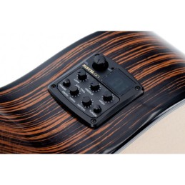 Image d'une guitare électro-acoustique P800CE Expression avec sa housse, de la marque Pleyel