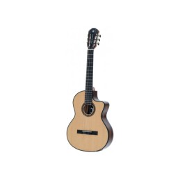 Image d'une guitare électro-acoustique P800CE Expression avec sa housse, de la marque Pleyel