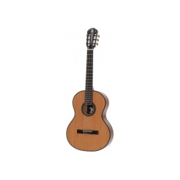 Image d'une guitare Classique P1000 Exception 4/4 avec Housse, de la marque Pleyel