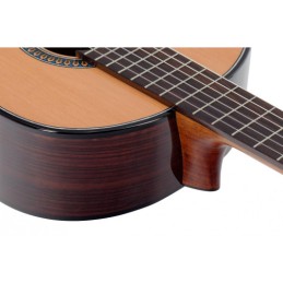 Image d'une guitare Classique P2000 Exception 4/4 avec housse, de la marque Pleyel