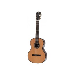 Image d'une guitare Classique P2000 Exception 4/4 avec housse, de la marque Pleyel