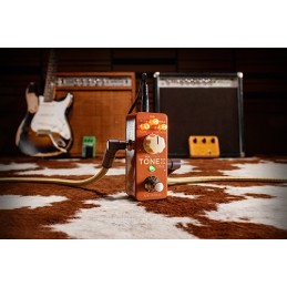 Image d'une pédale Multi-Effets ToneX One Double Special, de la marque IK Multimedia