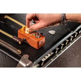 Image d'une pédale Multi-Effets ToneX One Double Special, de la marque IK Multimedia