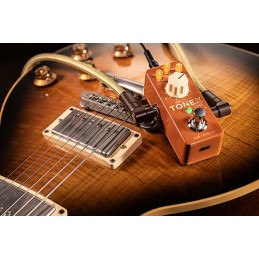 Image d'une pédale Multi-Effets ToneX One Double Special, de la marque IK Multimedia