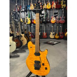 COMMANDE EVH WOLFGANG WG...