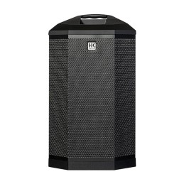 Image d'un Système Colonne Amplifiée polar 8 MK2, de couleur noir, de la marque HK Audio