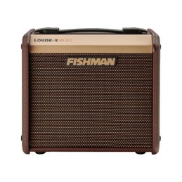 Image d'un Ampli Acoustique Loudbox Micro 40W, de la marque  Fishman