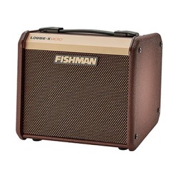 Image d'un Ampli Acoustique Loudbox Micro 40W, de la marque  Fishman