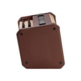Image d'un Ampli Acoustique Loudbox Micro 40W, de la marque  Fishman